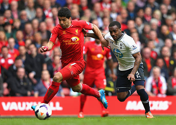 期球迷体验 期球迷体验